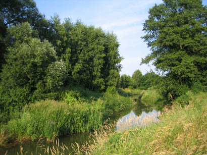Rzeka Wilga w miejscowoci Kamionka (okolice byej osady Czarnw)